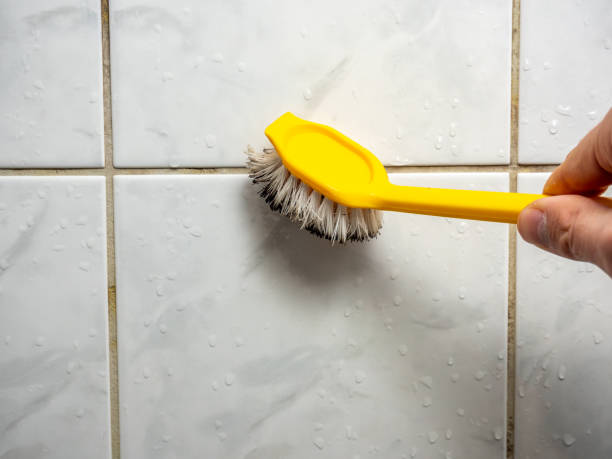 Best Black Mold Removal  in Jasper, IN