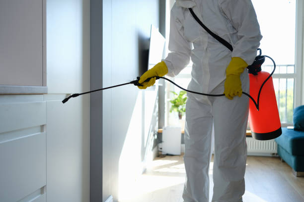 Best Mold Inspection  in Jasper, IN