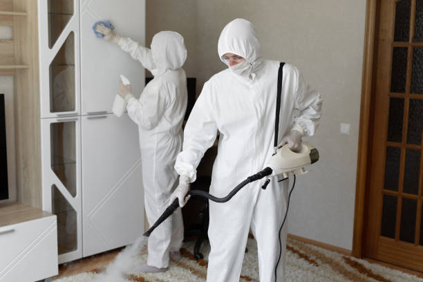 Mold Removal and Inspection in Jasper, IN