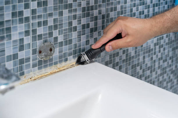 Best Certified Mold Removal  in Jasper, IN