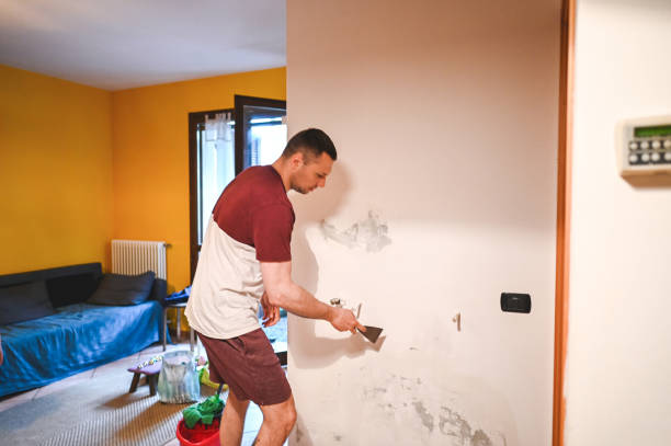 Best Residential Mold Removal  in Jasper, IN